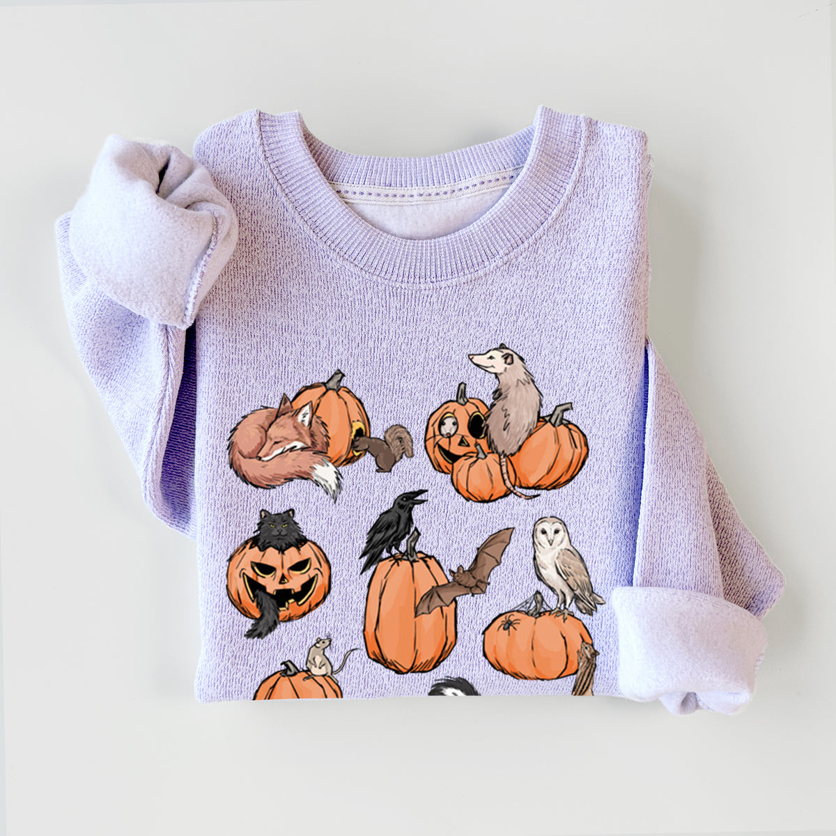 Woodland Pumpkin Patch Party - Knit Sweatshirt