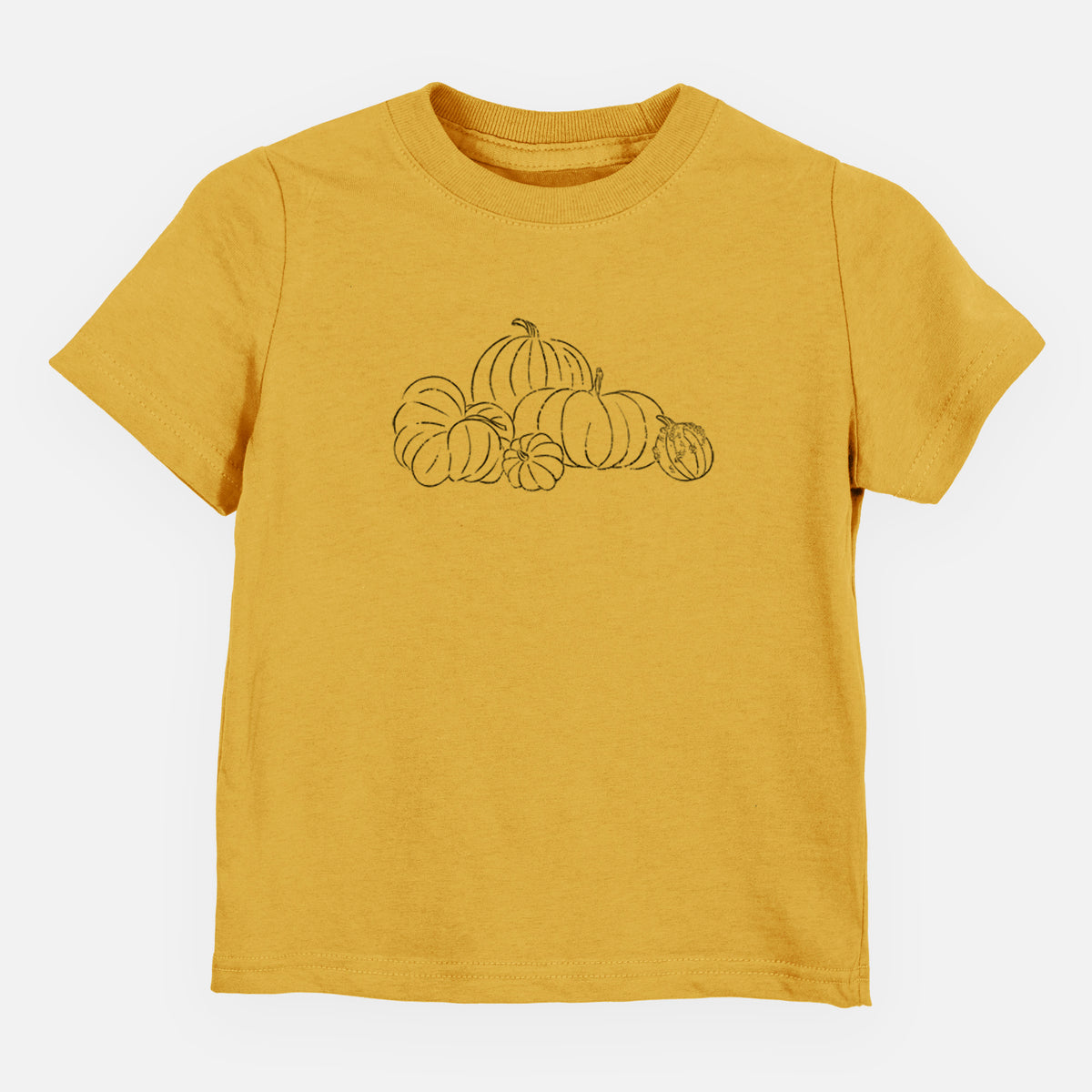 Pumpkins - Toddler/Youth Shirt