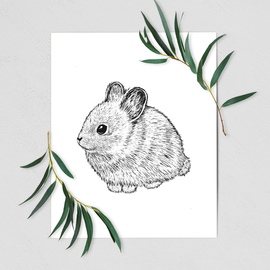 PygmyRabbit-Art-Print-