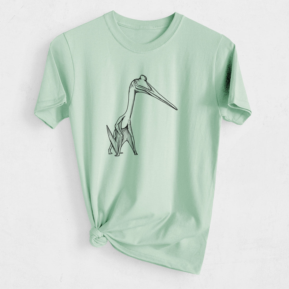 Quetzalcoatlus Northropi - Heavyweight Men&#39;s 100% Organic Cotton Tee