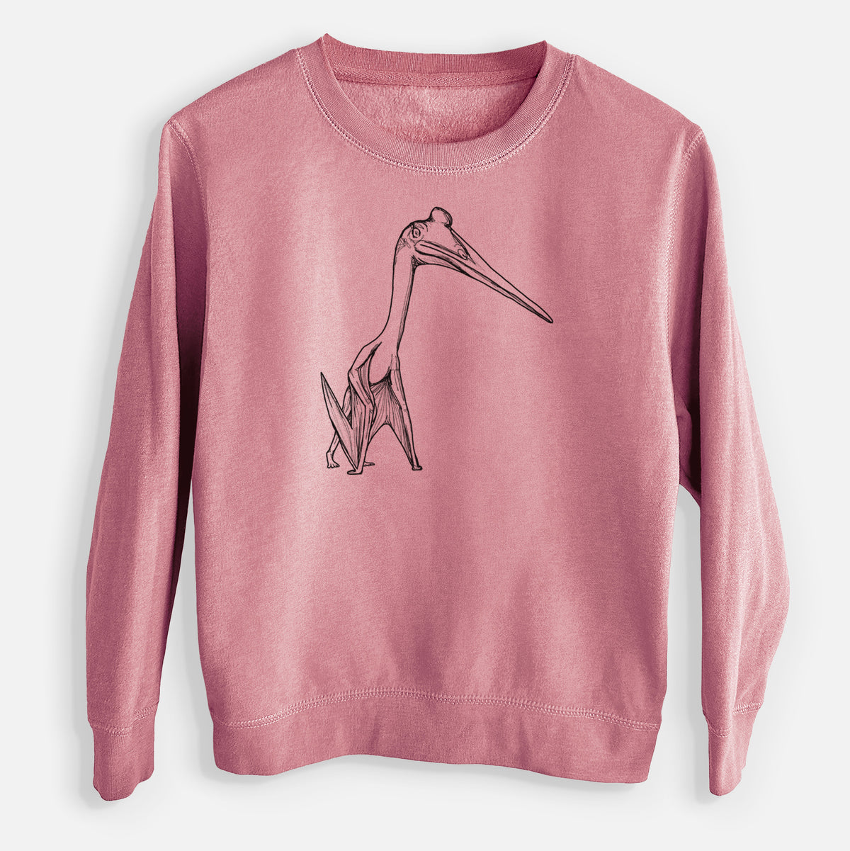 Quetzalcoatlus Northropi - Youth Lightweight Crewneck Sweatshirt