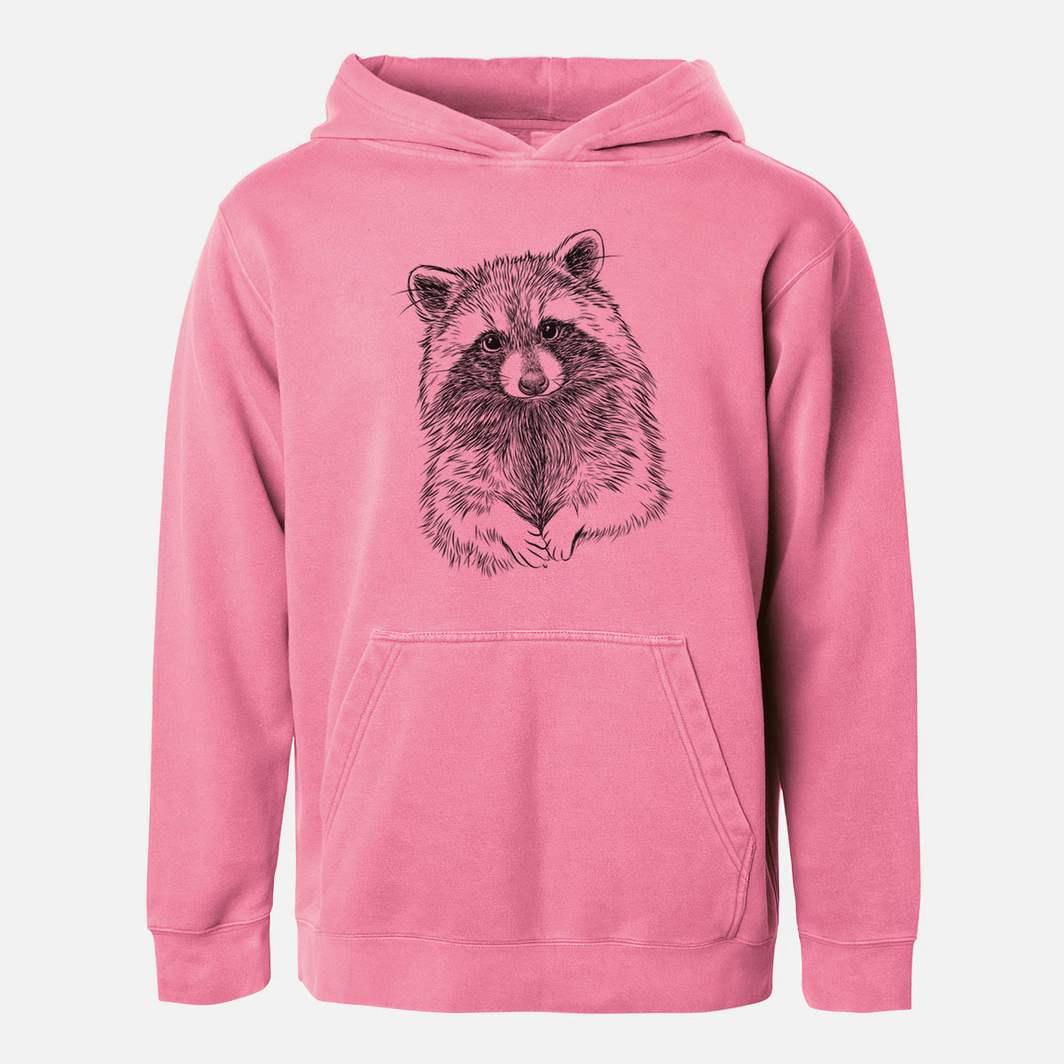 Raccoon - Procyon lotor - Youth Pigment Dyed Hoodie