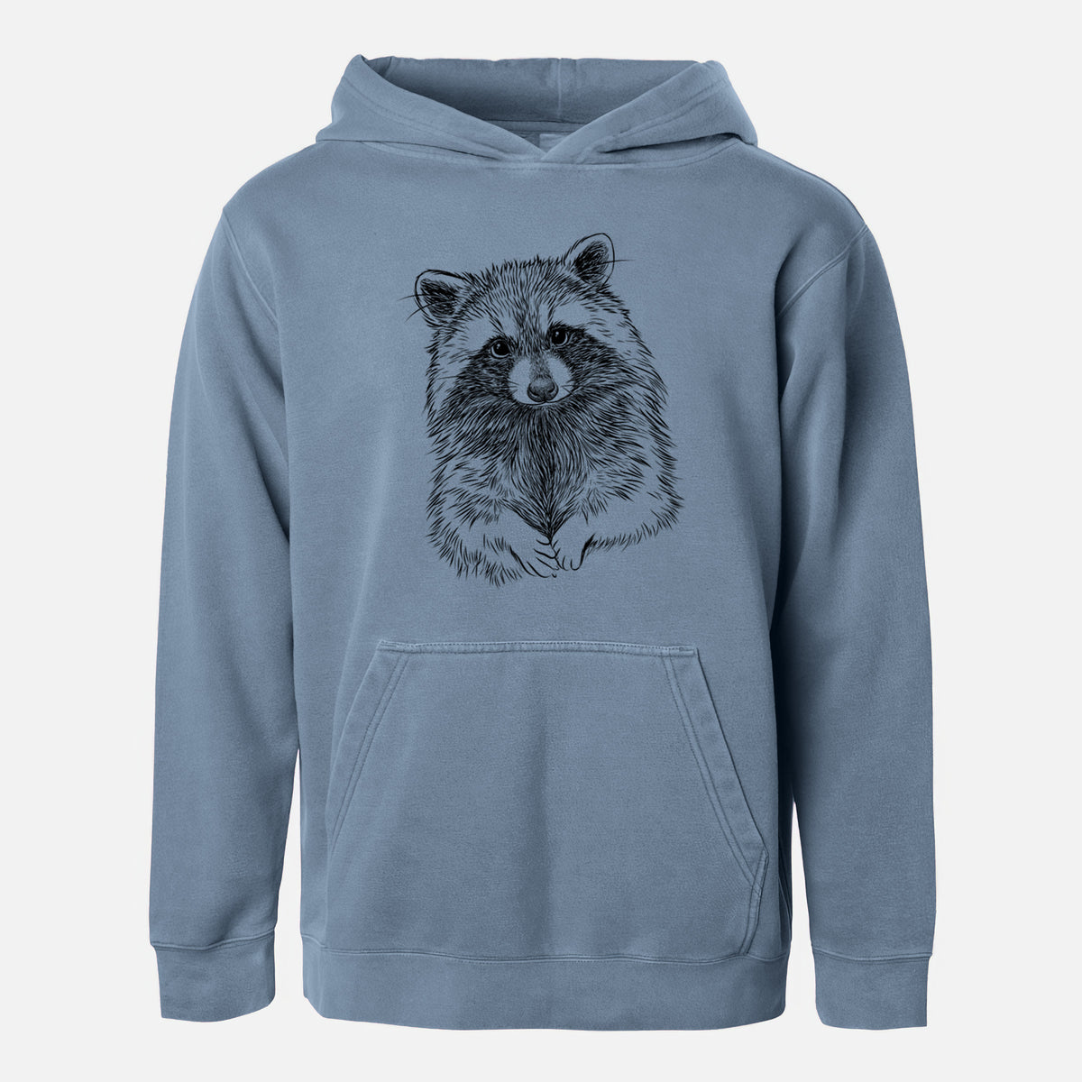 Raccoon - Procyon lotor - Youth Pigment Dyed Hoodie