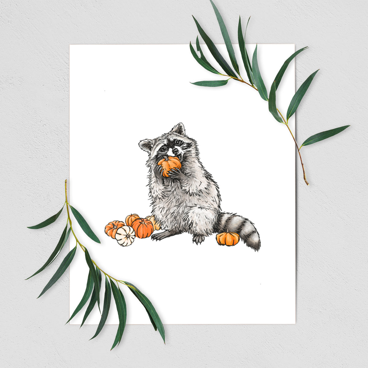 Racoon Pumpkin Bandit - Fine Art Print