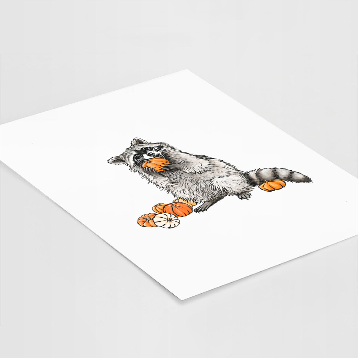 Racoon Pumpkin Bandit - Fine Art Print