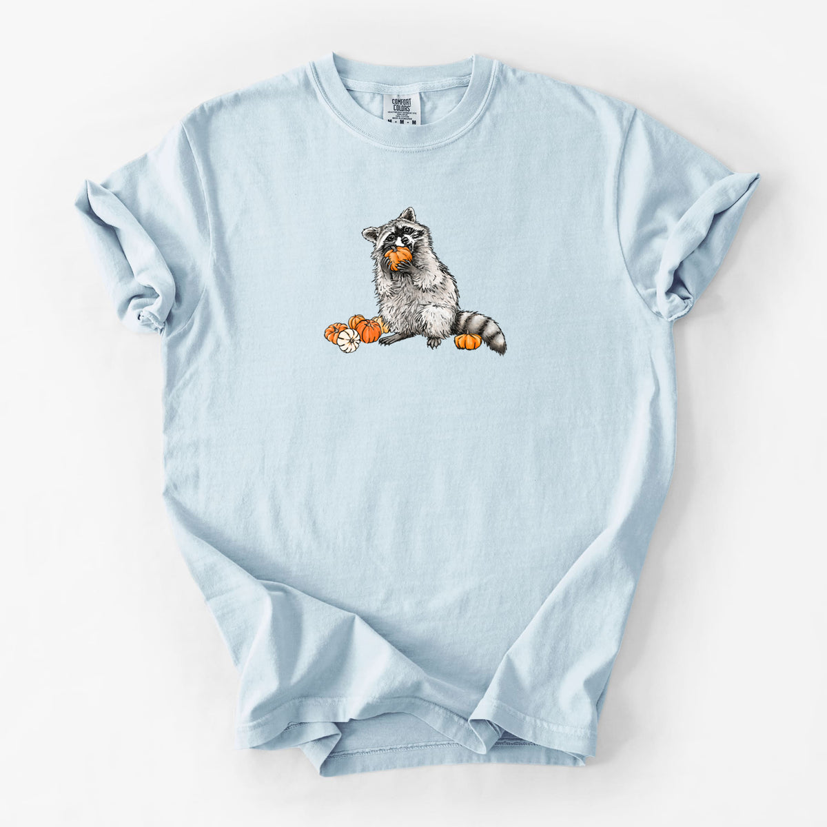 Racoon Pumpkin Bandit - Unisex Comfort Colors Garment-Dyed Heavyweight T-shirt