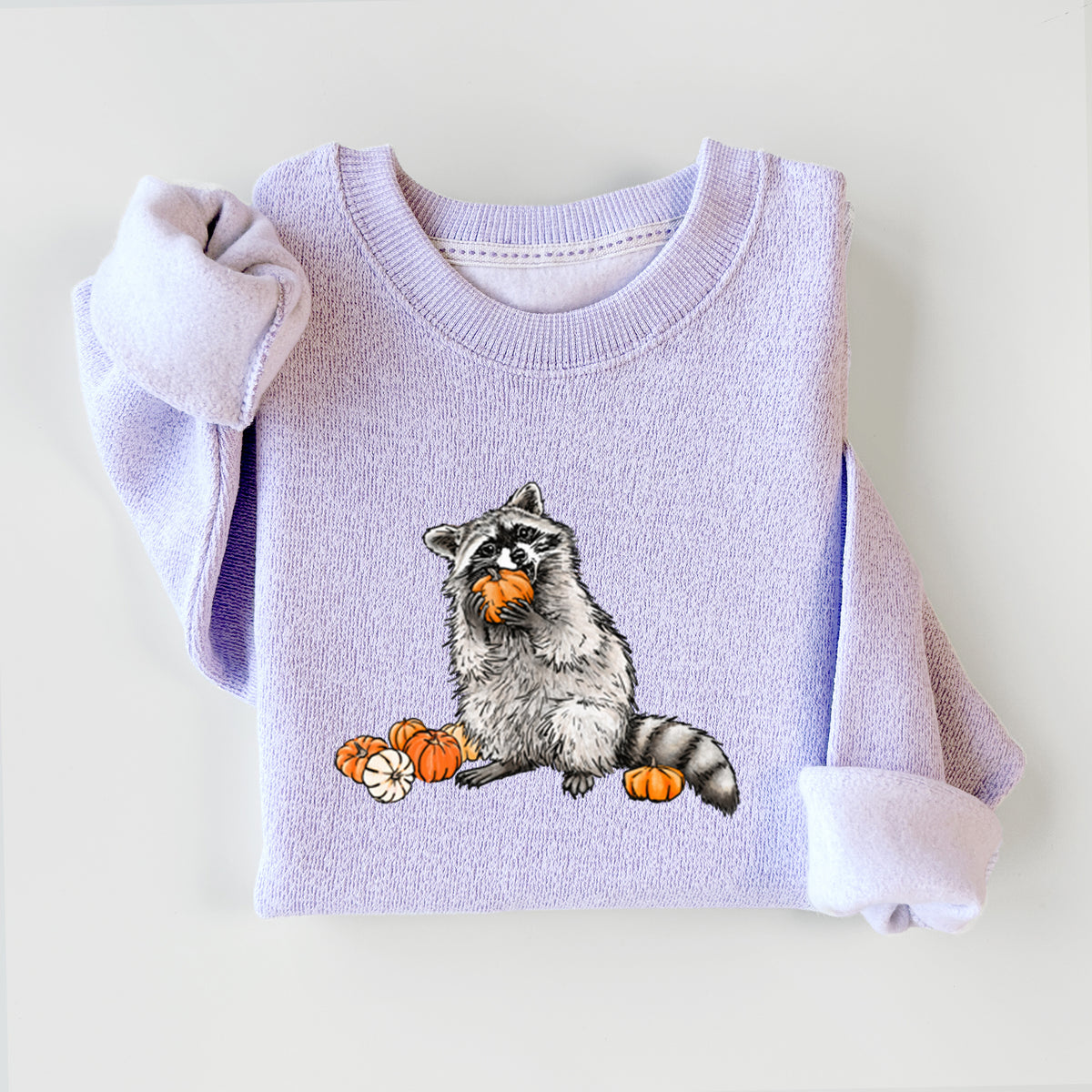 Racoon Pumpkin Bandit - Knit Sweatshirt