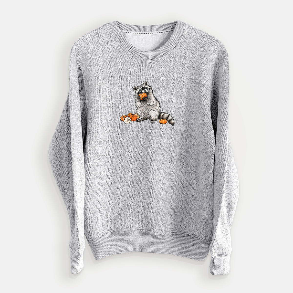 Racoon Pumpkin Bandit - Knit Sweatshirt
