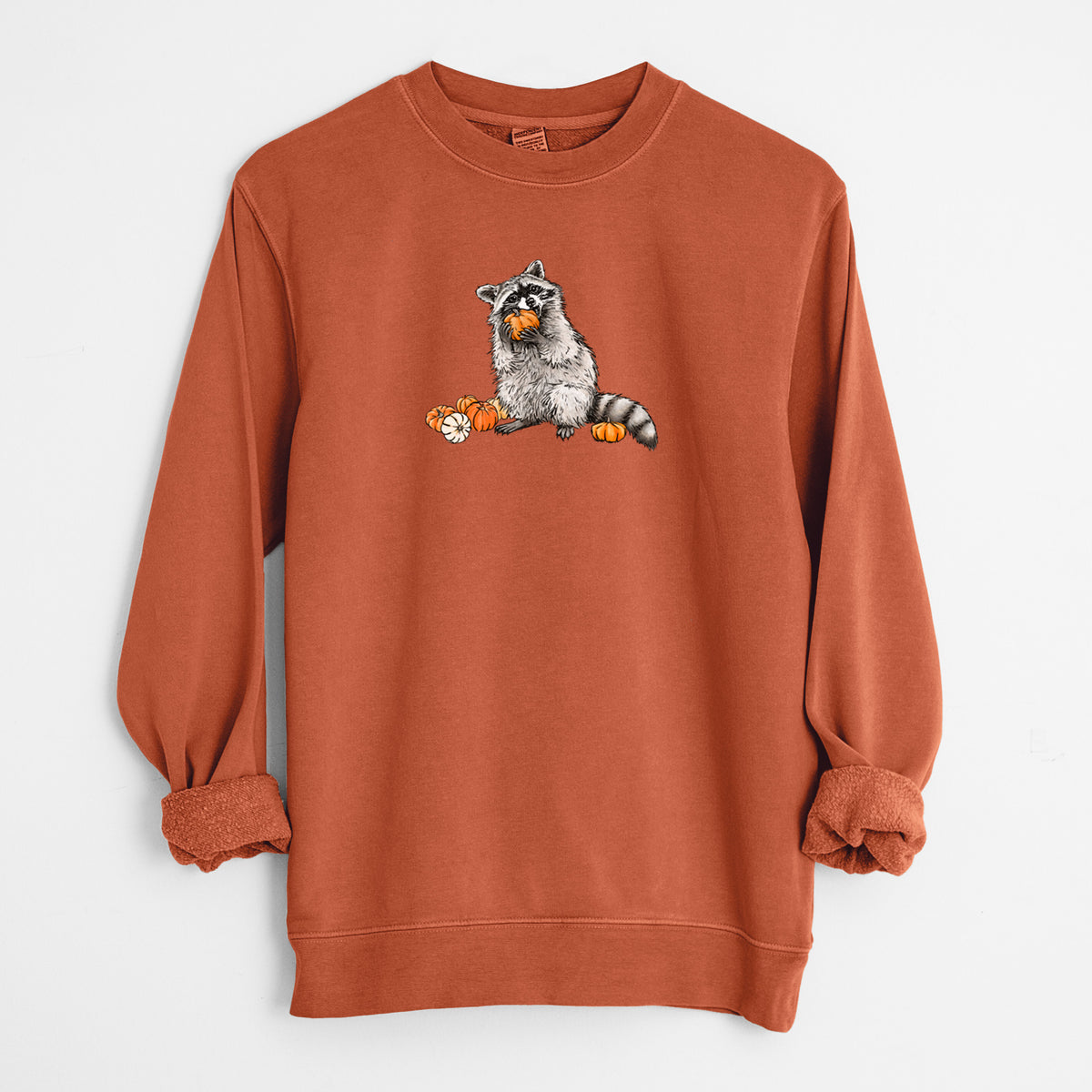 Racoon Pumpkin Bandit - Unisex Pigment Dyed Crew Sweatshirt