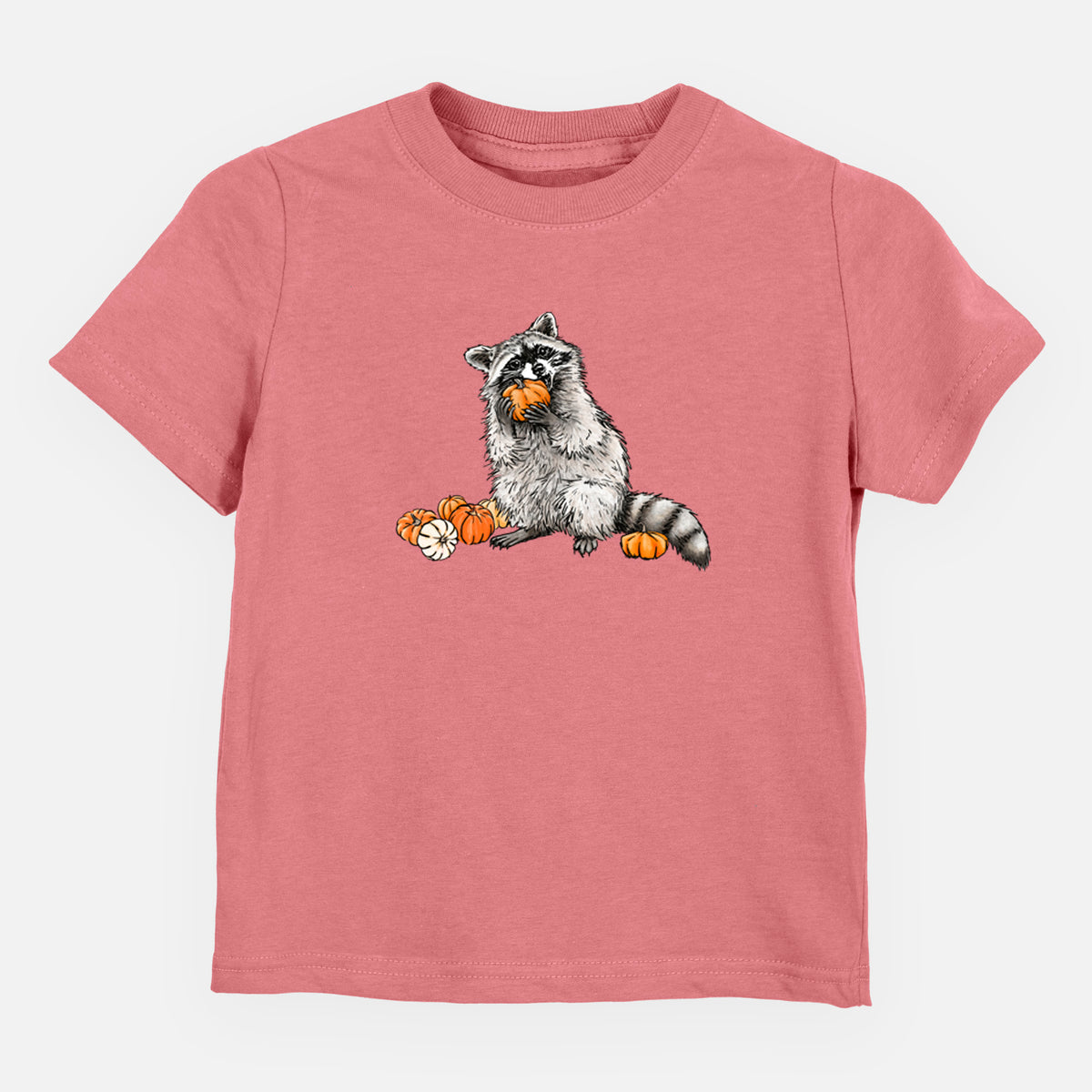 Racoon Pumpkin Bandit - Toddler/Youth Shirt