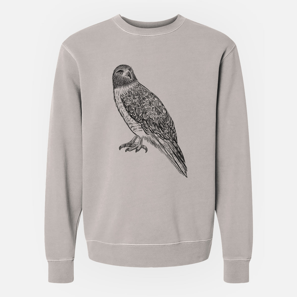 Red-tailed Hawk - Buteo jamaicensis - Unisex Pigment Dyed Crew Sweatshirt