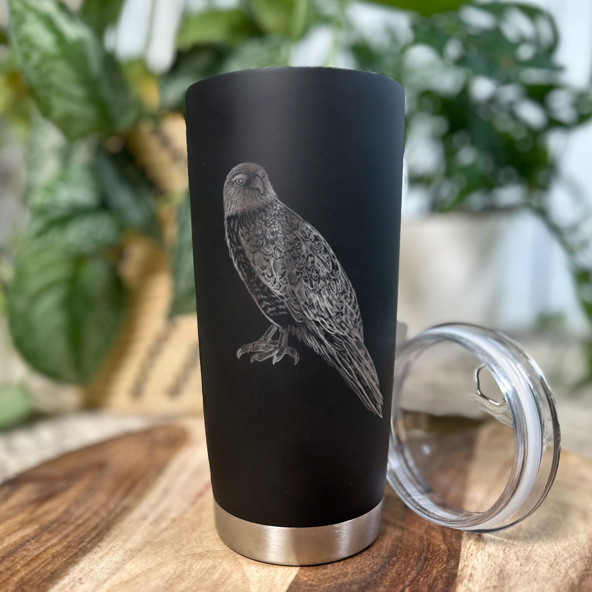 Red-tailed Hawk - Buteo jamaicensis - 20oz Polar Insulated Tumbler