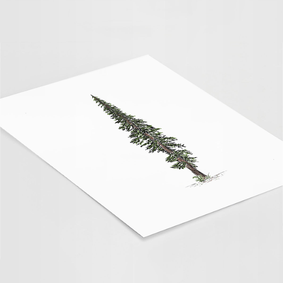 Lone Redwood - Fine Art Print