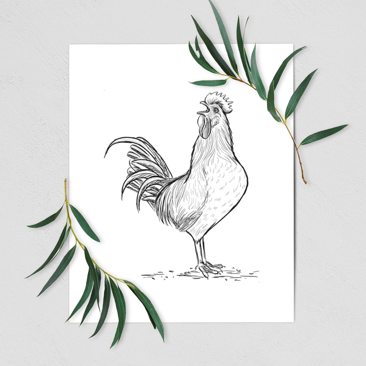 Crowing Rooster - Brown Leghorn Chicken - Fine Art Print