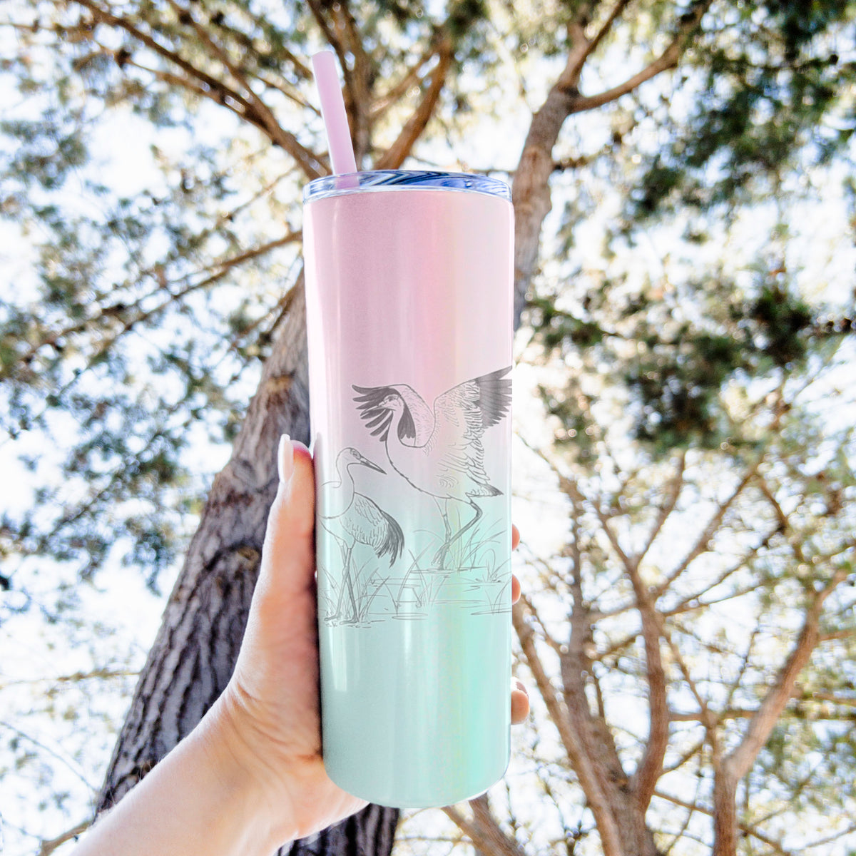 Sandhill Cranes - Grus canadensis - 20oz Skinny Tumbler