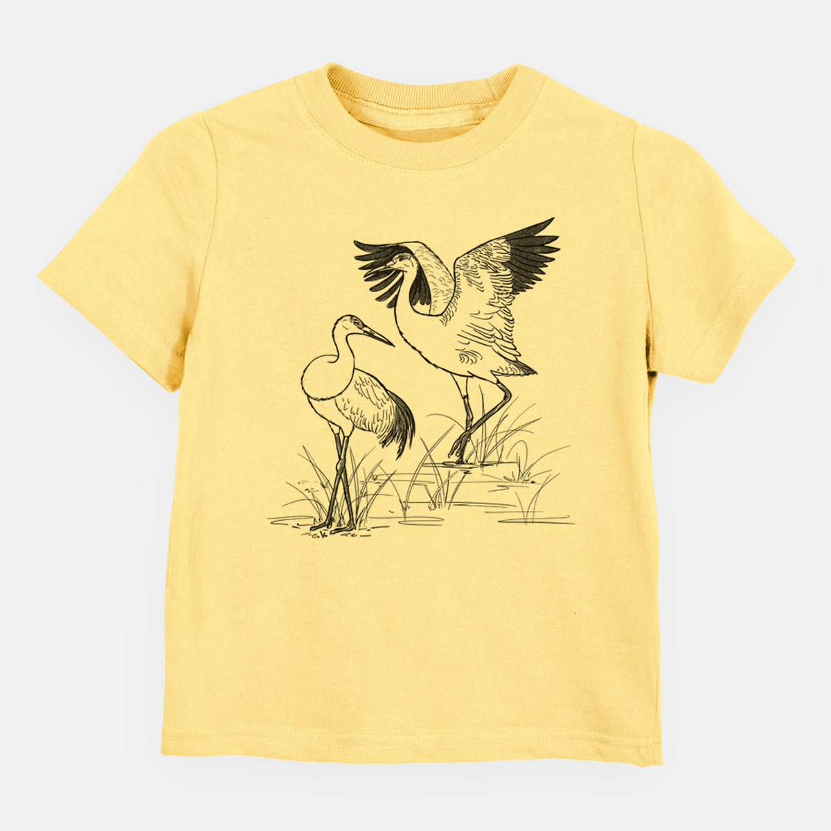Sandhills Cranes - Grus canadensis - Toddler/Youth Shirt
