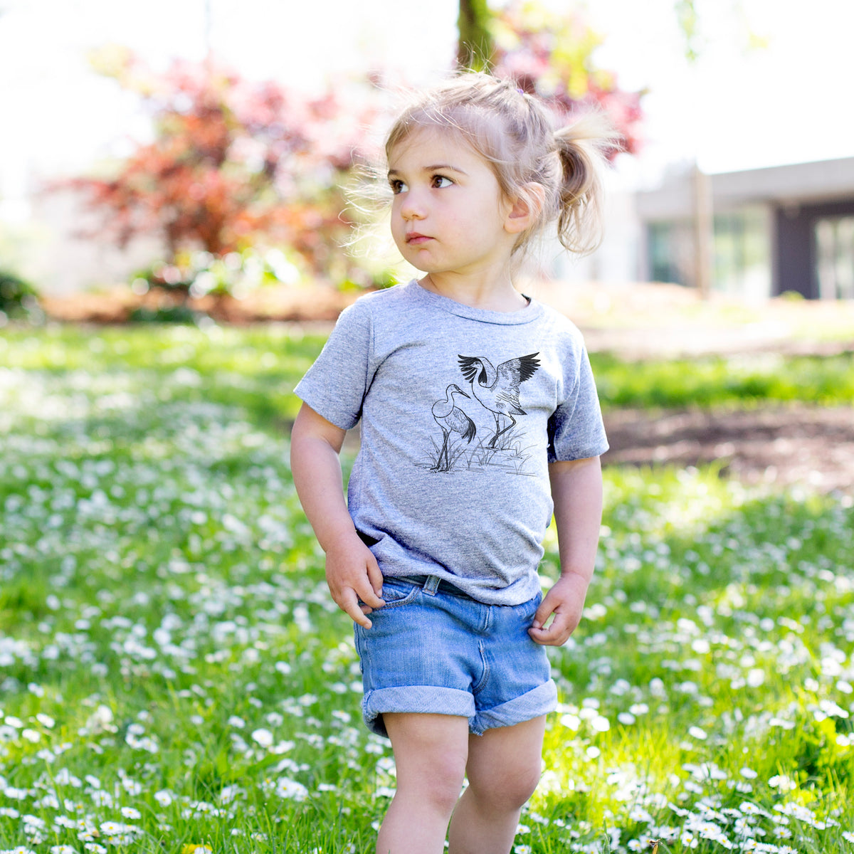 Sandhills Cranes - Grus canadensis - Toddler/Youth Shirt