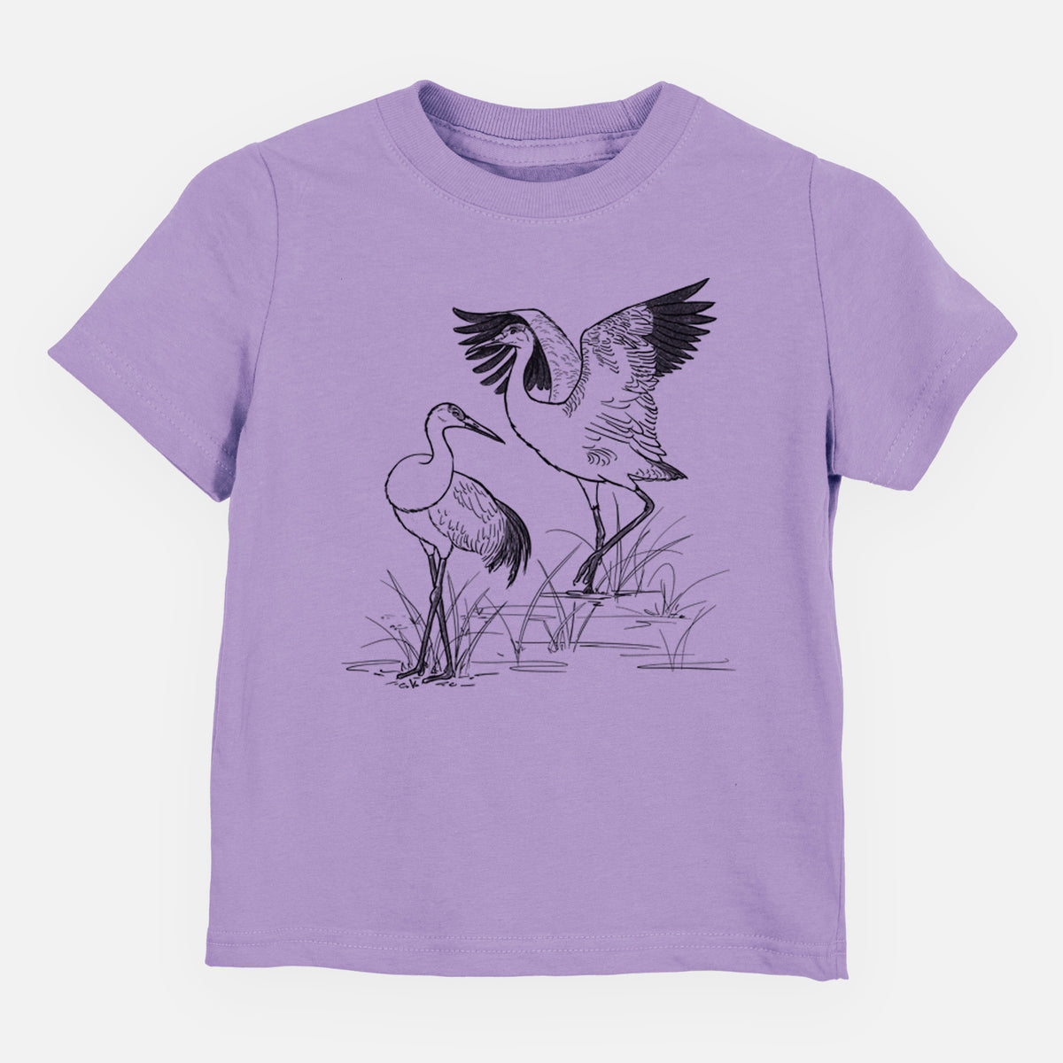 Sandhills Cranes - Grus canadensis - Toddler/Youth Shirt
