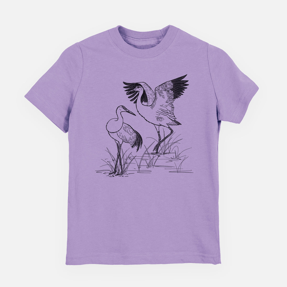Sandhills Cranes - Grus canadensis - Toddler/Youth Shirt