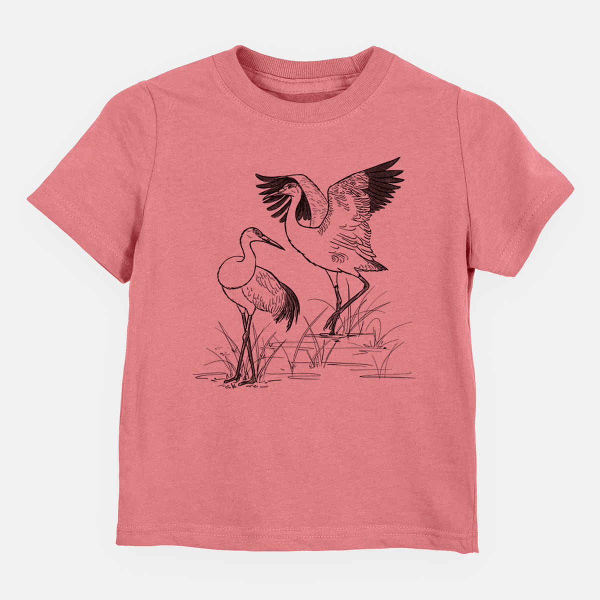Sandhills Cranes - Grus canadensis - Toddler/Youth Shirt