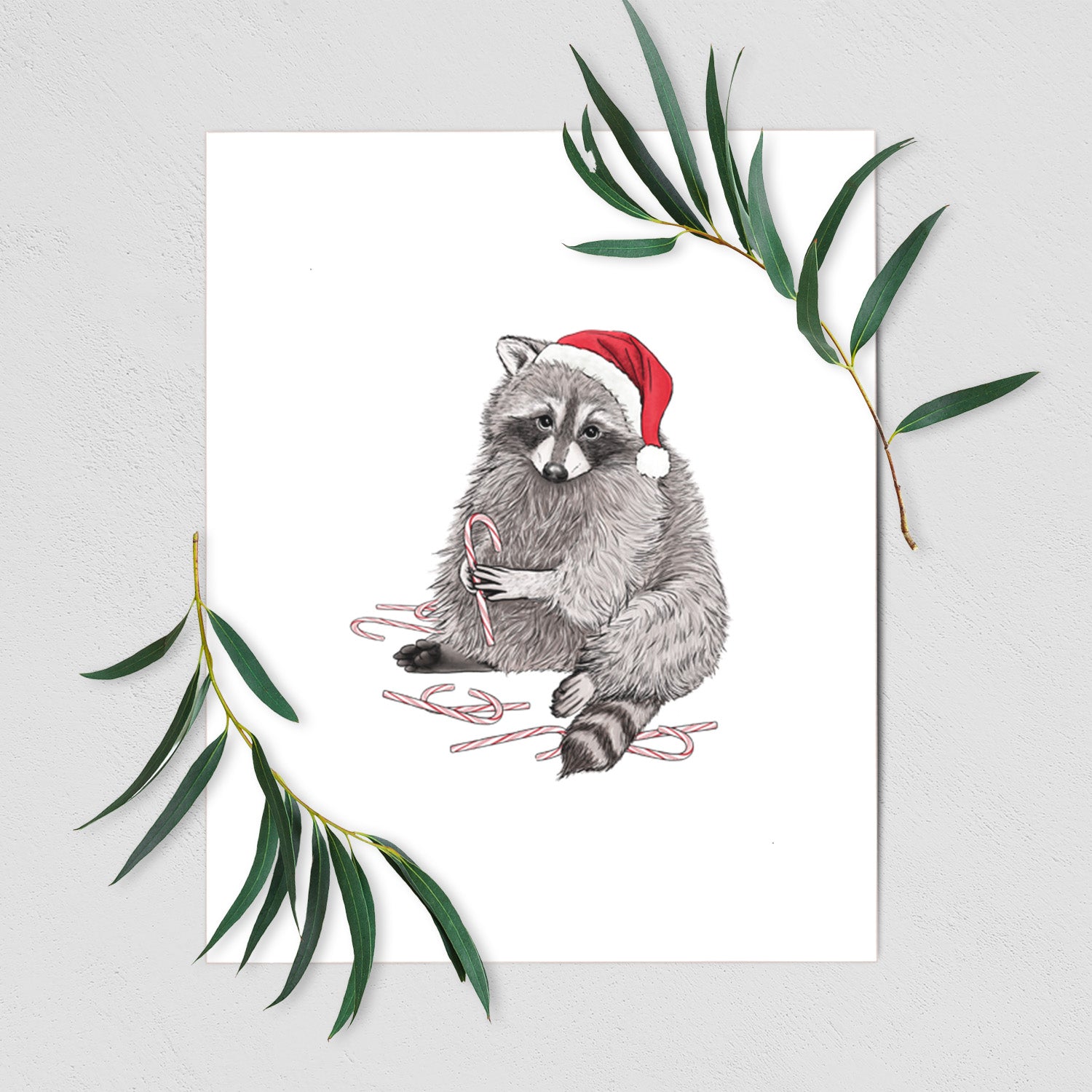 Santa Raccoon - Fine Art Print, Size: 8"x10"