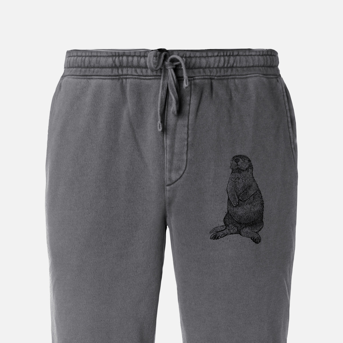 Enhydra lutris - California Sea Otter - Unisex Pigment Dyed Sweatpants