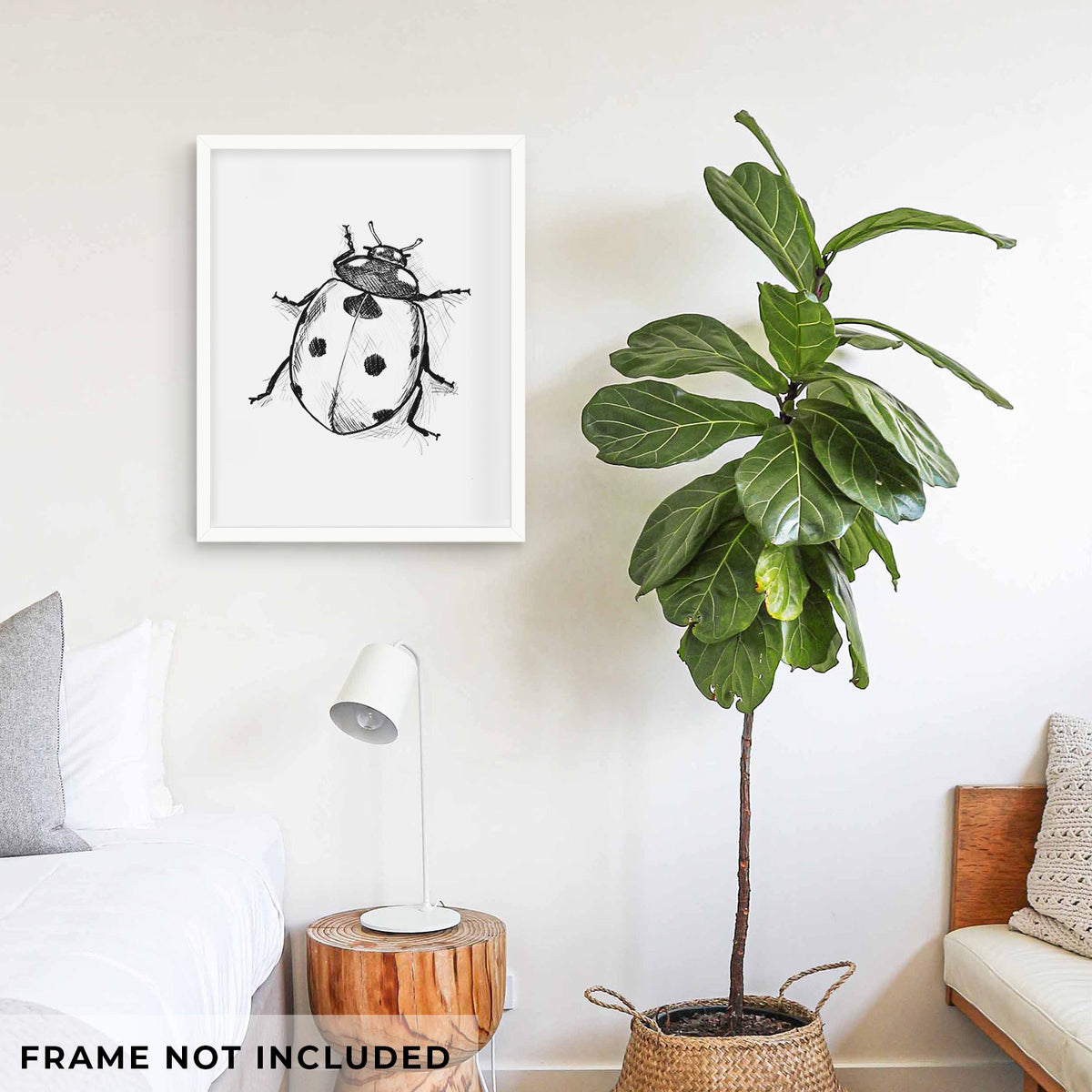 Coccinella septempunctata - Seven-spot Ladybird Ladybug - Fine Art Print