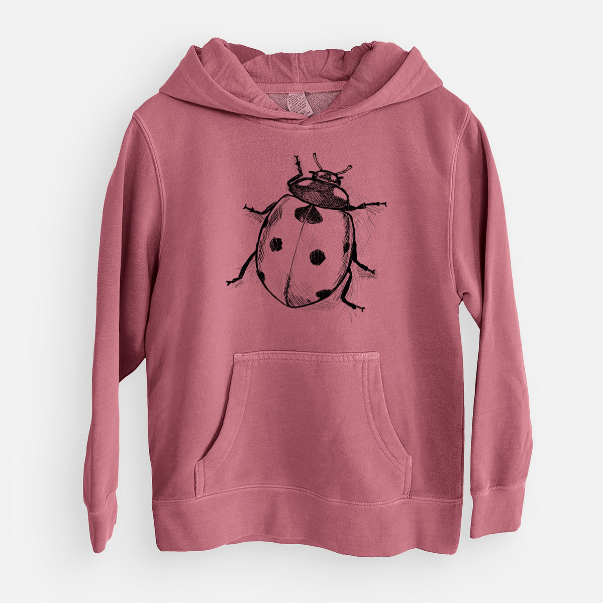 Coccinella septempunctata - Seven-spot Ladybird Ladybug - Youth Pigment Dyed Hoodie