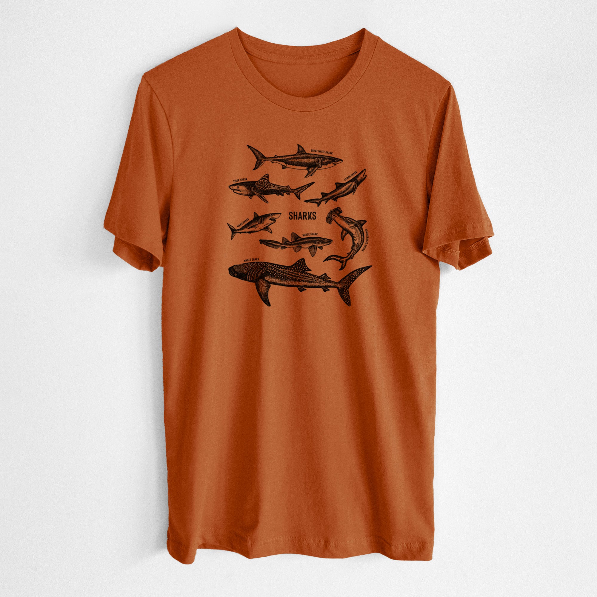 Shark Chart - Lightweight 100% Cotton Unisex Crewneck