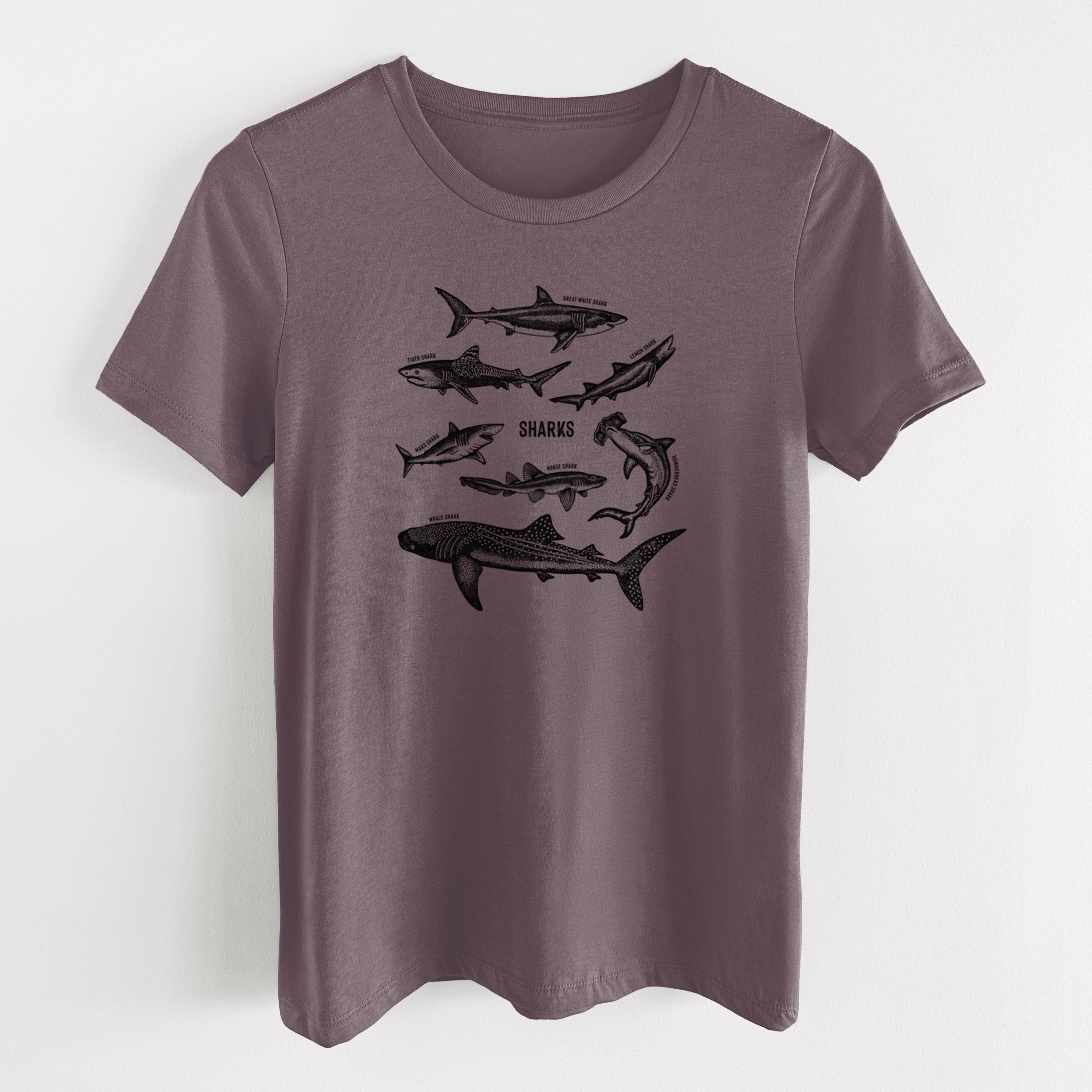 Shark Chart - Women's Lightweight Relaxed Fit 100% Cotton Crewneck