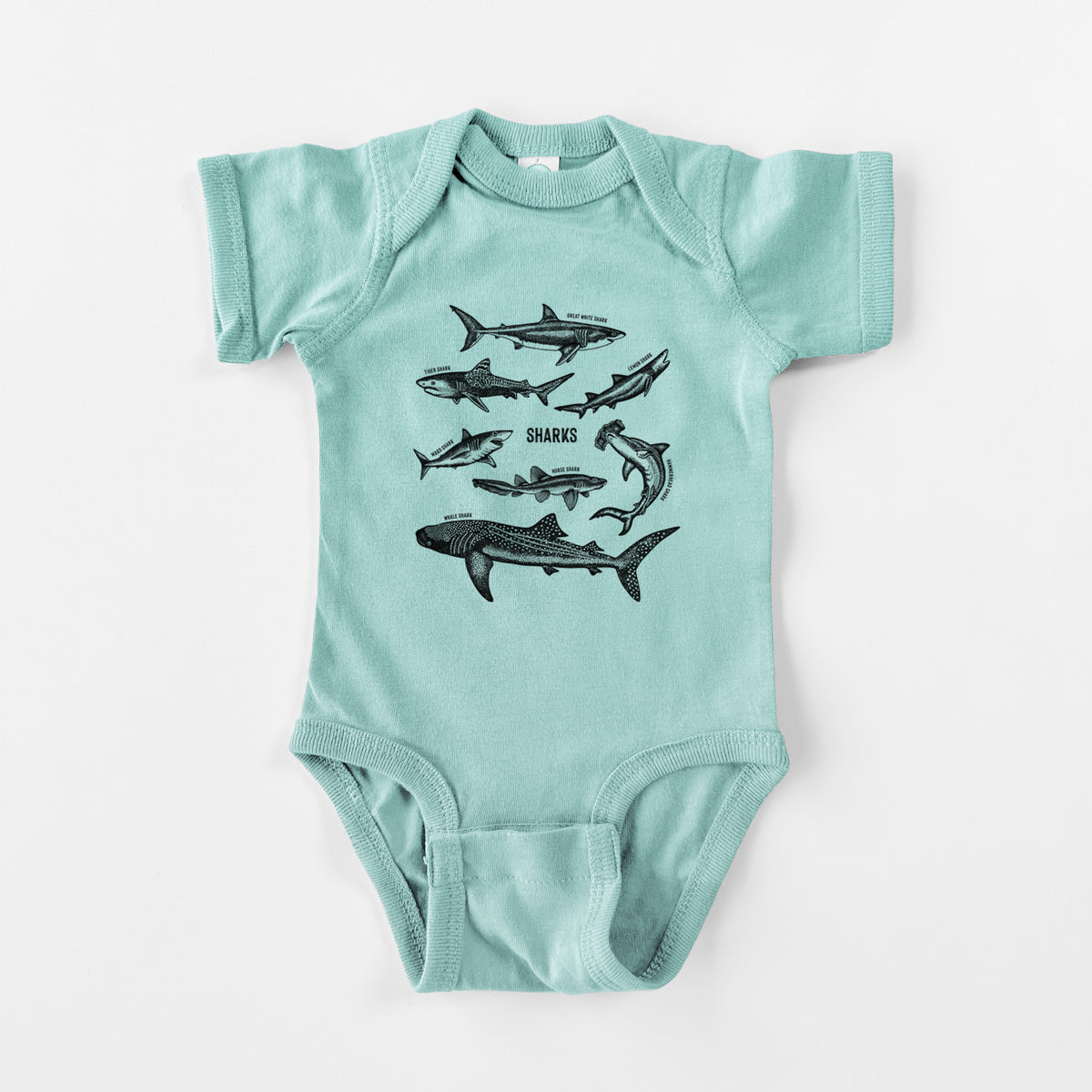 Shark Chart - Baby Fine Jersey Bodysuit