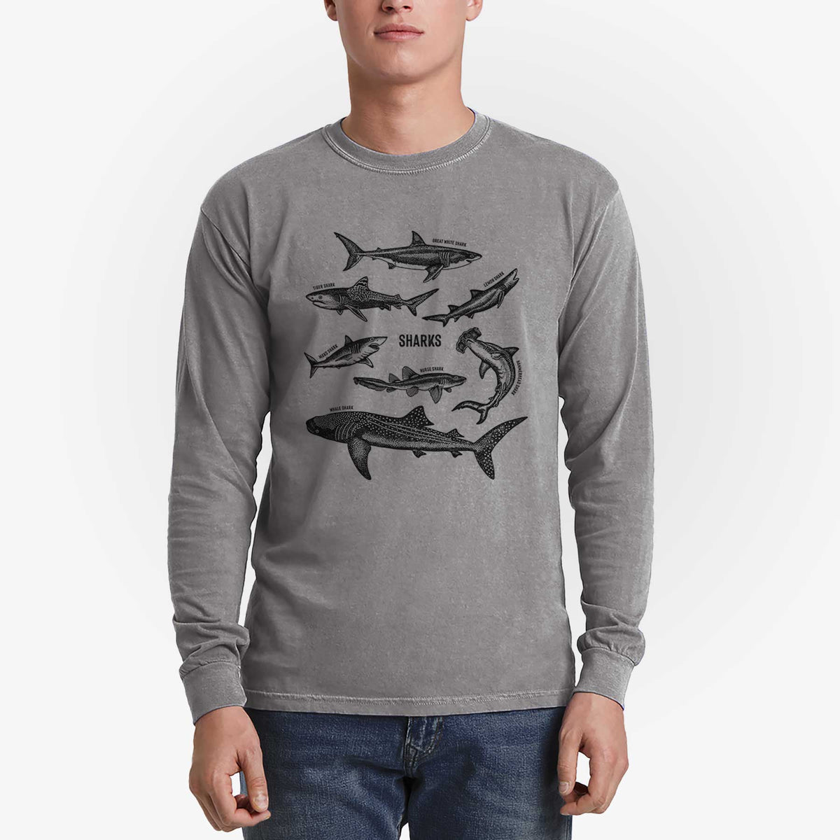 Shark Chart - Men&#39;s Heavyweight 100% Cotton Long Sleeve