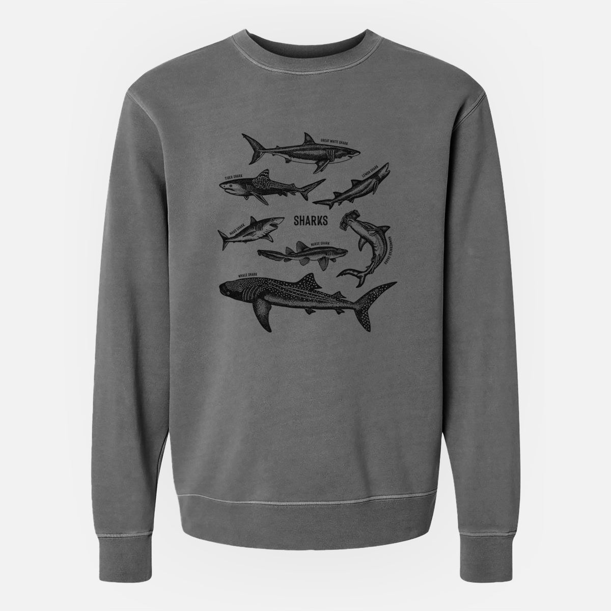 Shark Chart - Unisex Pigment Dyed Crew Sweatshirt