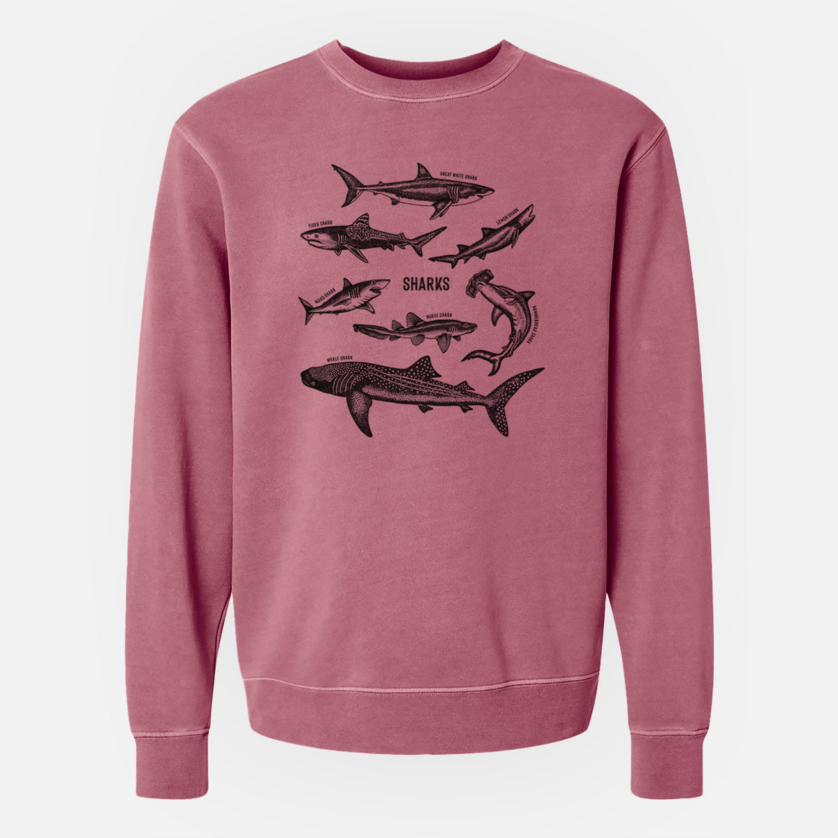 Shark Chart - Unisex Pigment Dyed Crew Sweatshirt