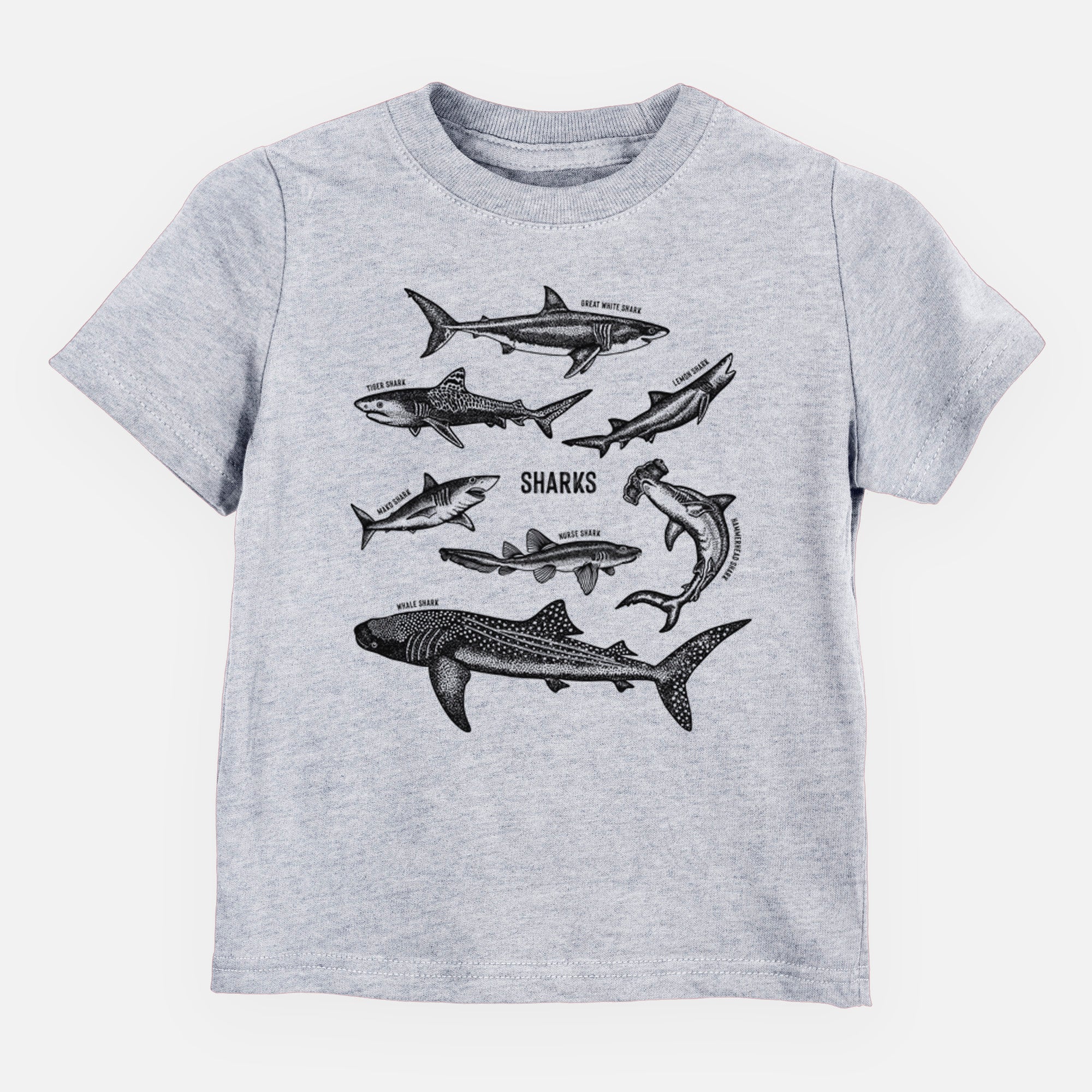 Shark Chart - Toddler/Youth Shirt