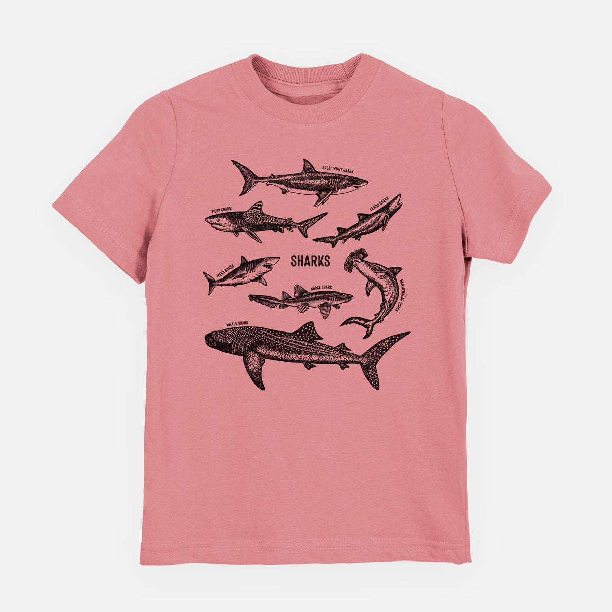 Shark Chart - Youth Shirt