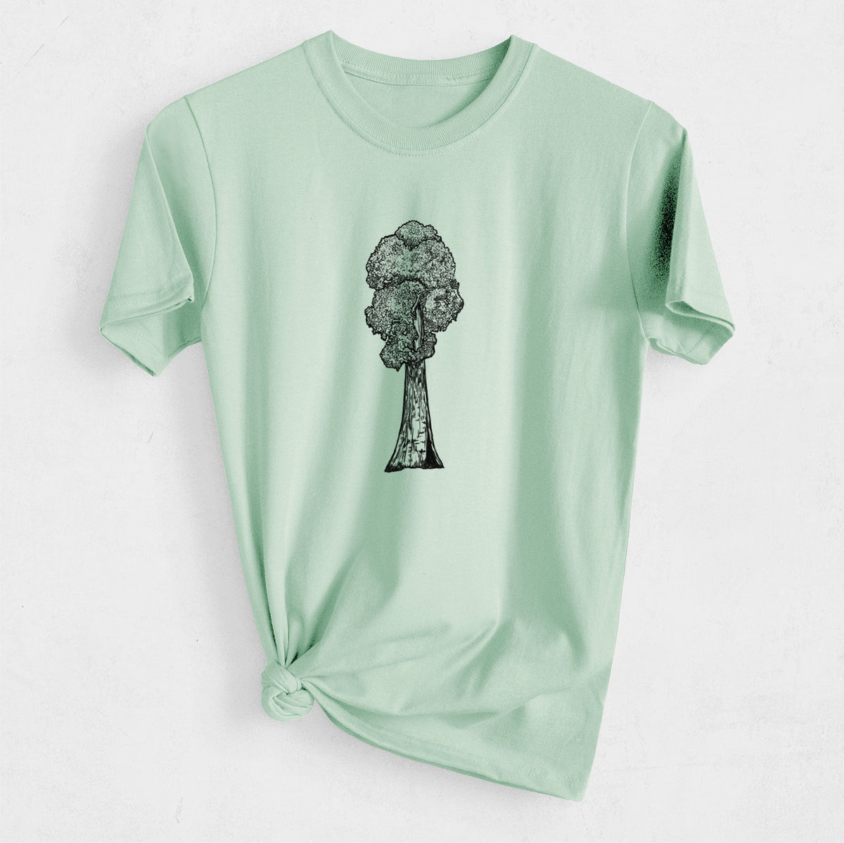 Sequoia - Heavyweight Men&#39;s 100% Organic Cotton Tee