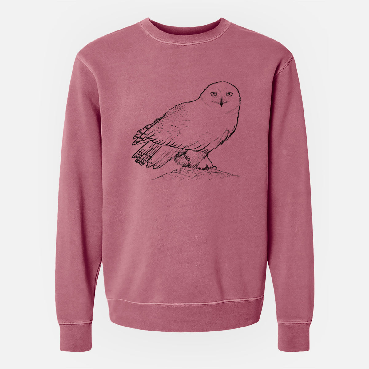 Snowy Owl - Bubo scandiacus - Unisex Pigment Dyed Crew Sweatshirt