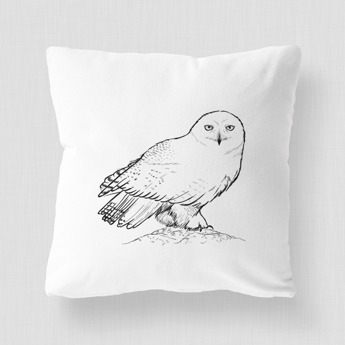 Snowy Owl - Bubo scandiacus - Throw Pillow Cover