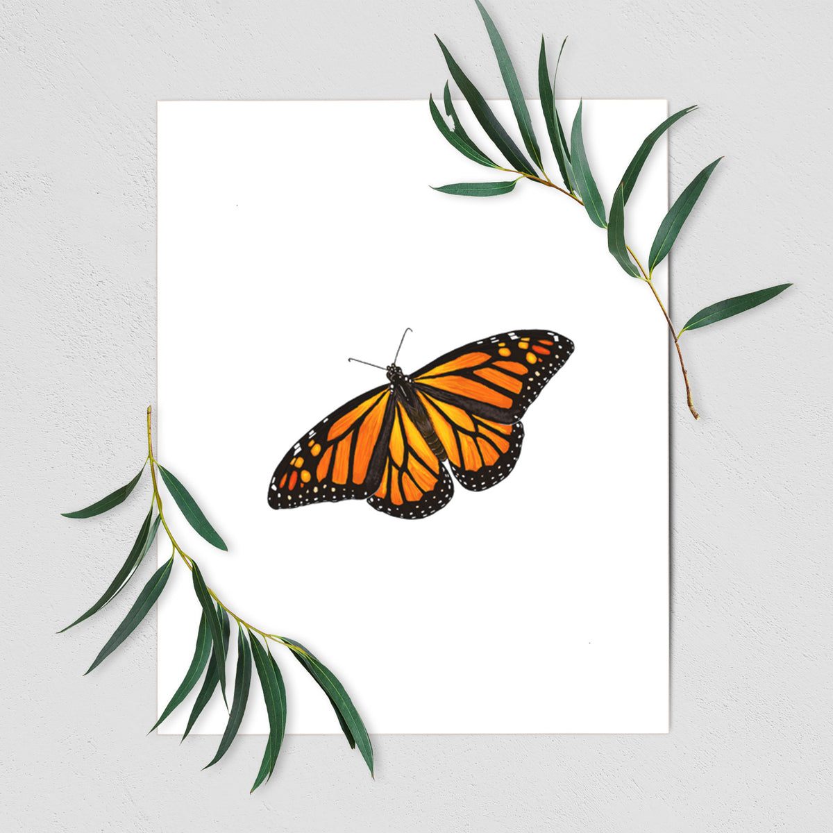 Vibrant Monarch - Danaus plexippus - Fine Art Print