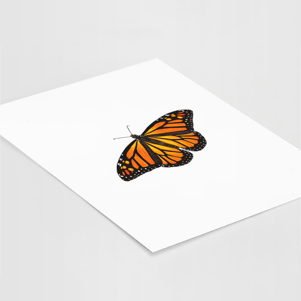 Vibrant Monarch - Danaus plexippus - Fine Art Print