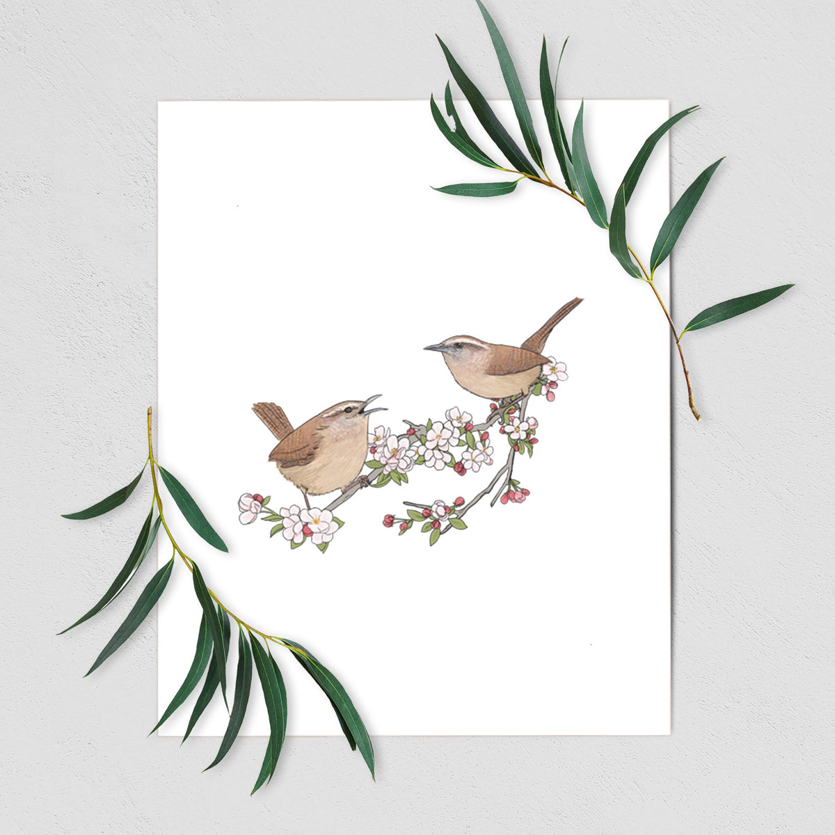Spring Carolina Wrens on a Blooming Crabtree Branch - Fine Art Print