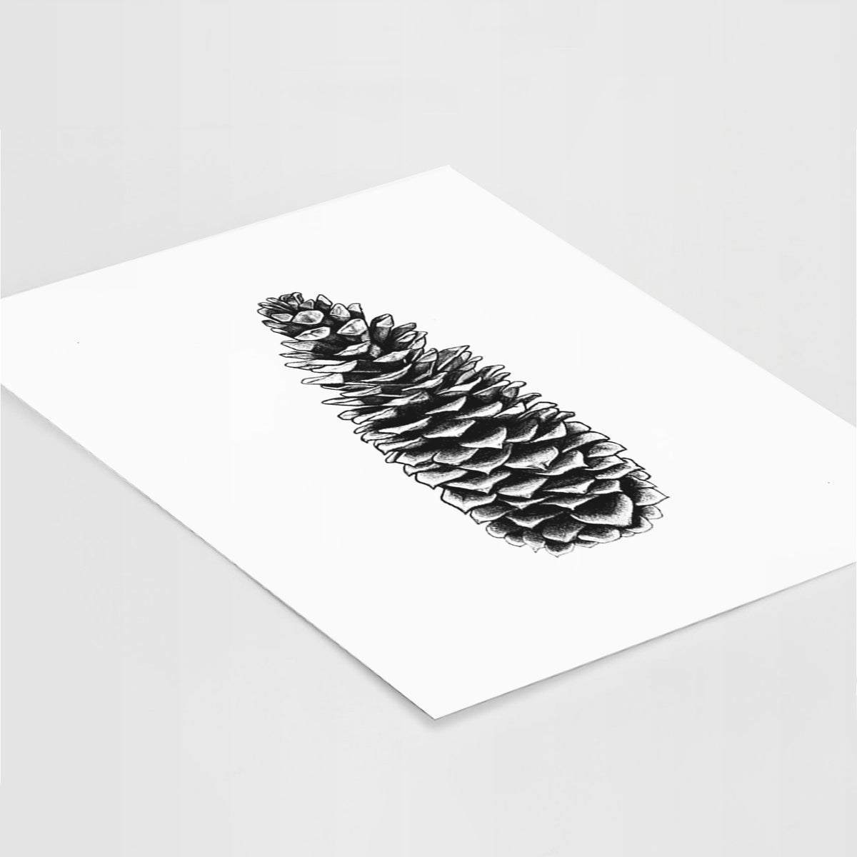 Sugar Pine Cone - Pinus lambertiana - Fine Art Print