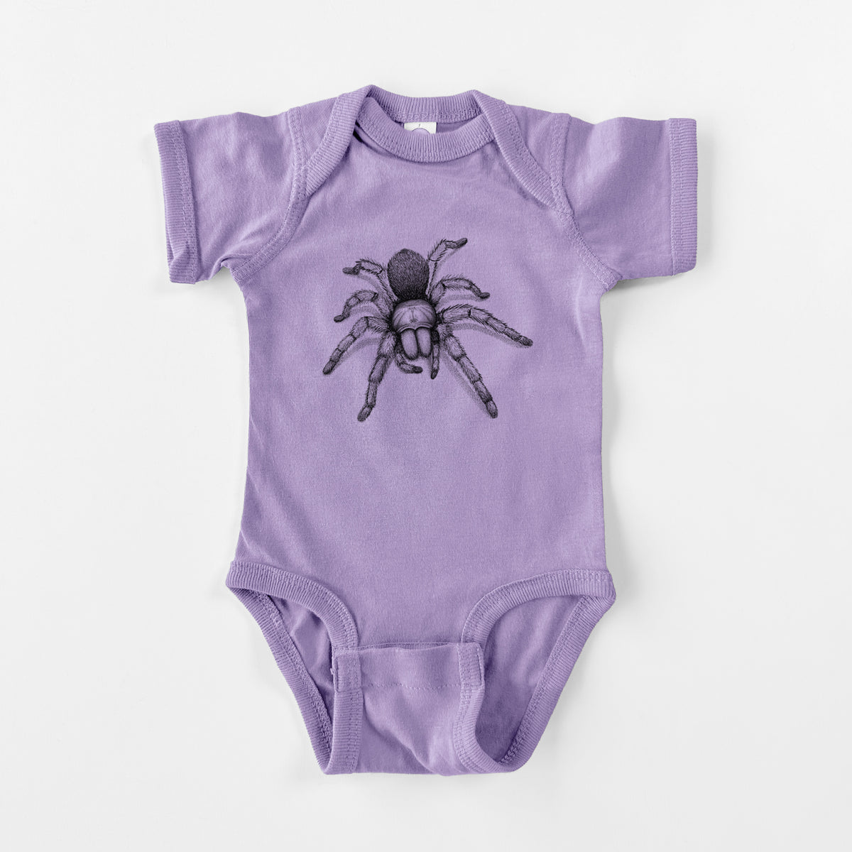 Desert Blonde Tarantula - Aphonopelma chalcodes - Baby Fine Jersey Bodysuit