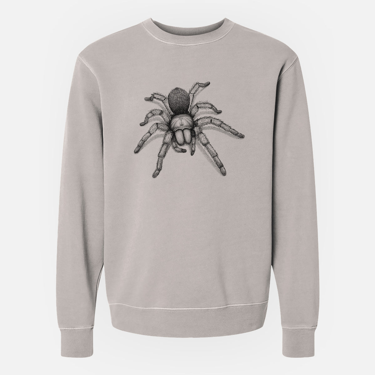 Desert Blonde Tarantula - Aphonopelma chalcodes - Unisex Pigment Dyed Crew Sweatshirt