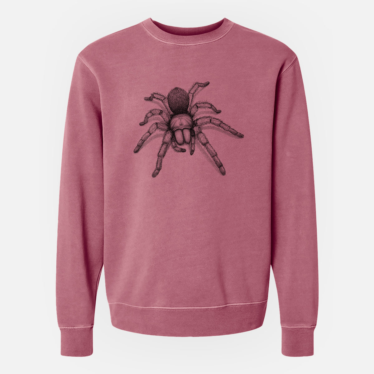 Desert Blonde Tarantula - Aphonopelma chalcodes - Unisex Pigment Dyed Crew Sweatshirt