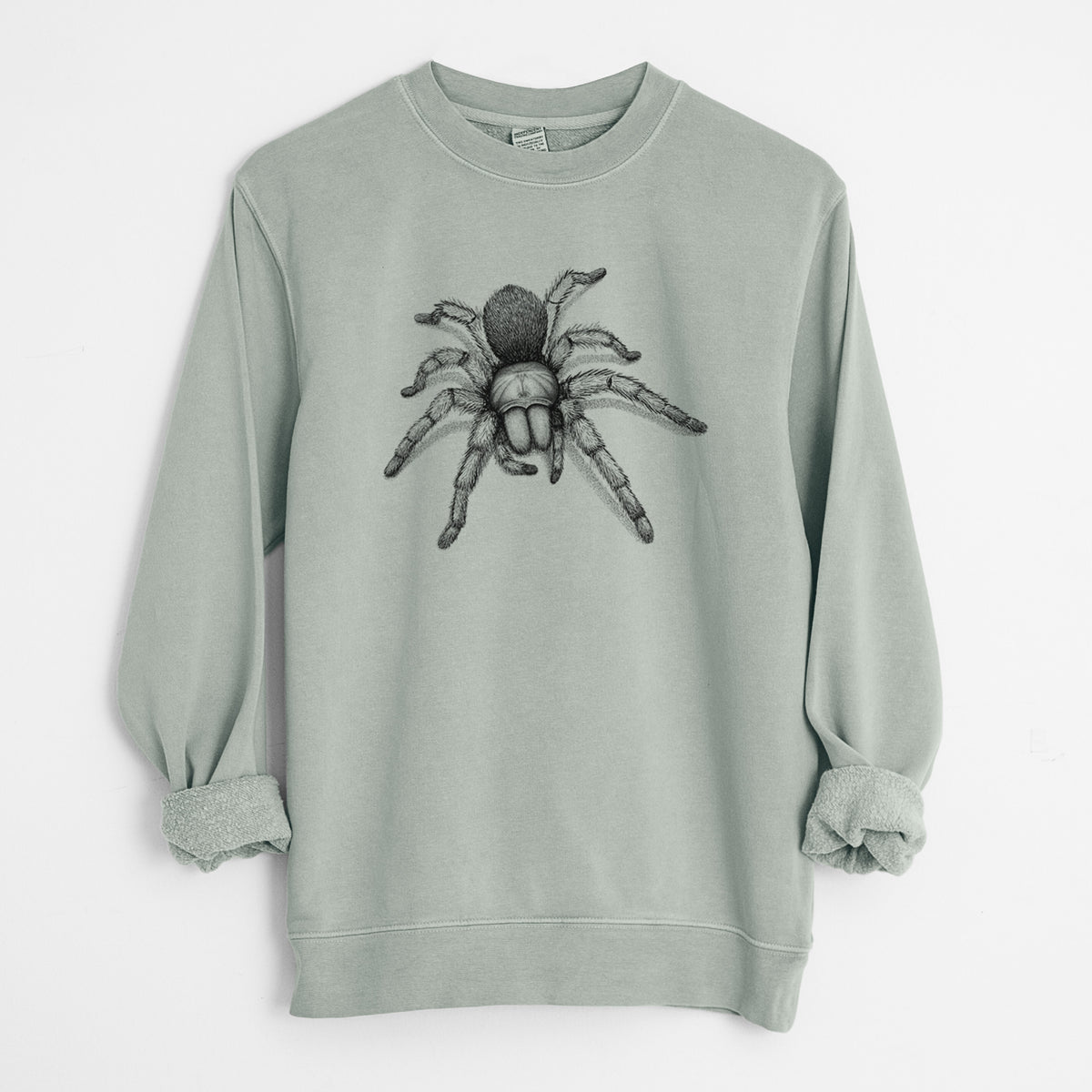 Desert Blonde Tarantula - Aphonopelma chalcodes - Unisex Pigment Dyed Crew Sweatshirt