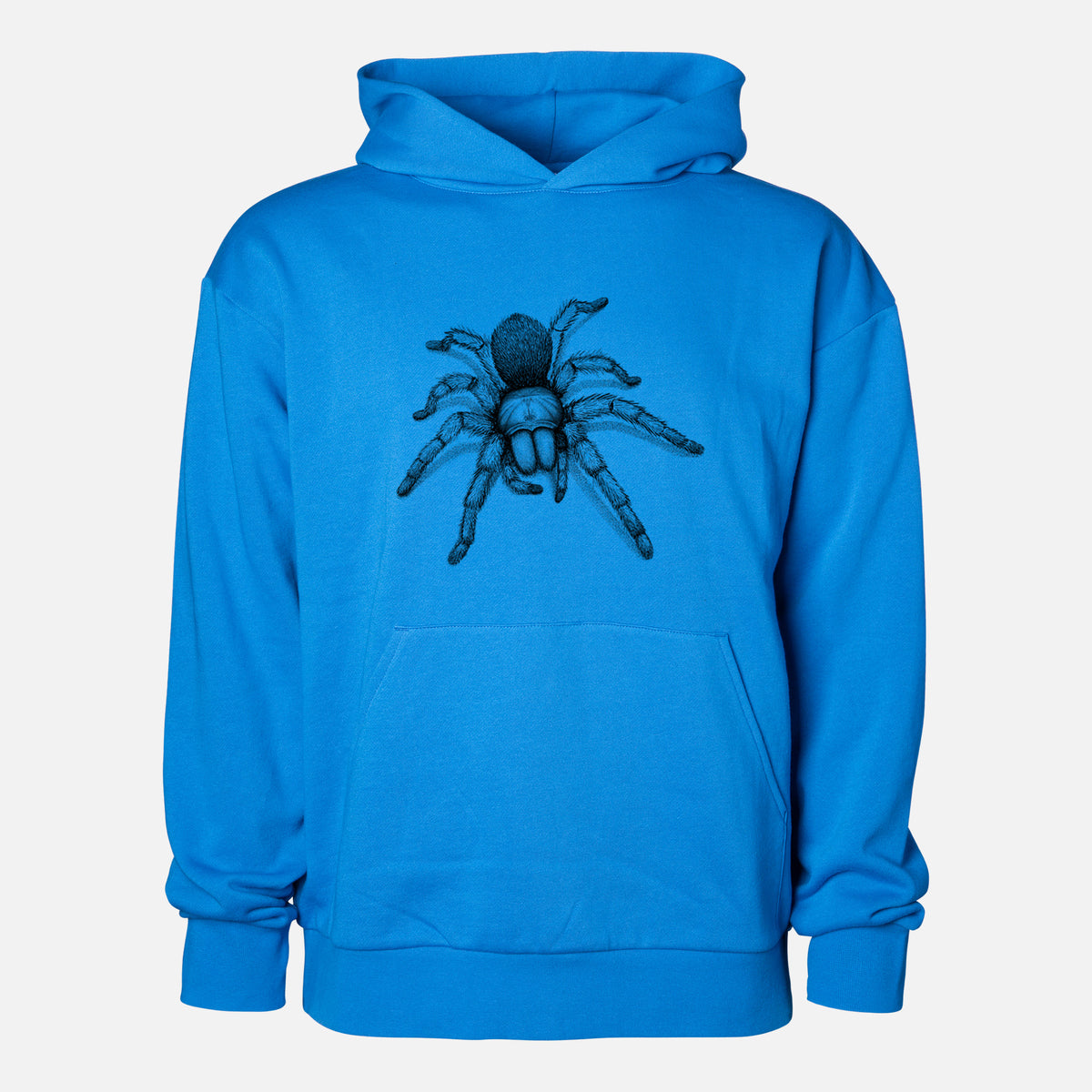 Desert Blonde Tarantula - Aphonopelma chalcodes - Statement Midweight Hoodie in Azure Blue, shown from the front with the design printed on the chest above a front kangaroo pocket.
