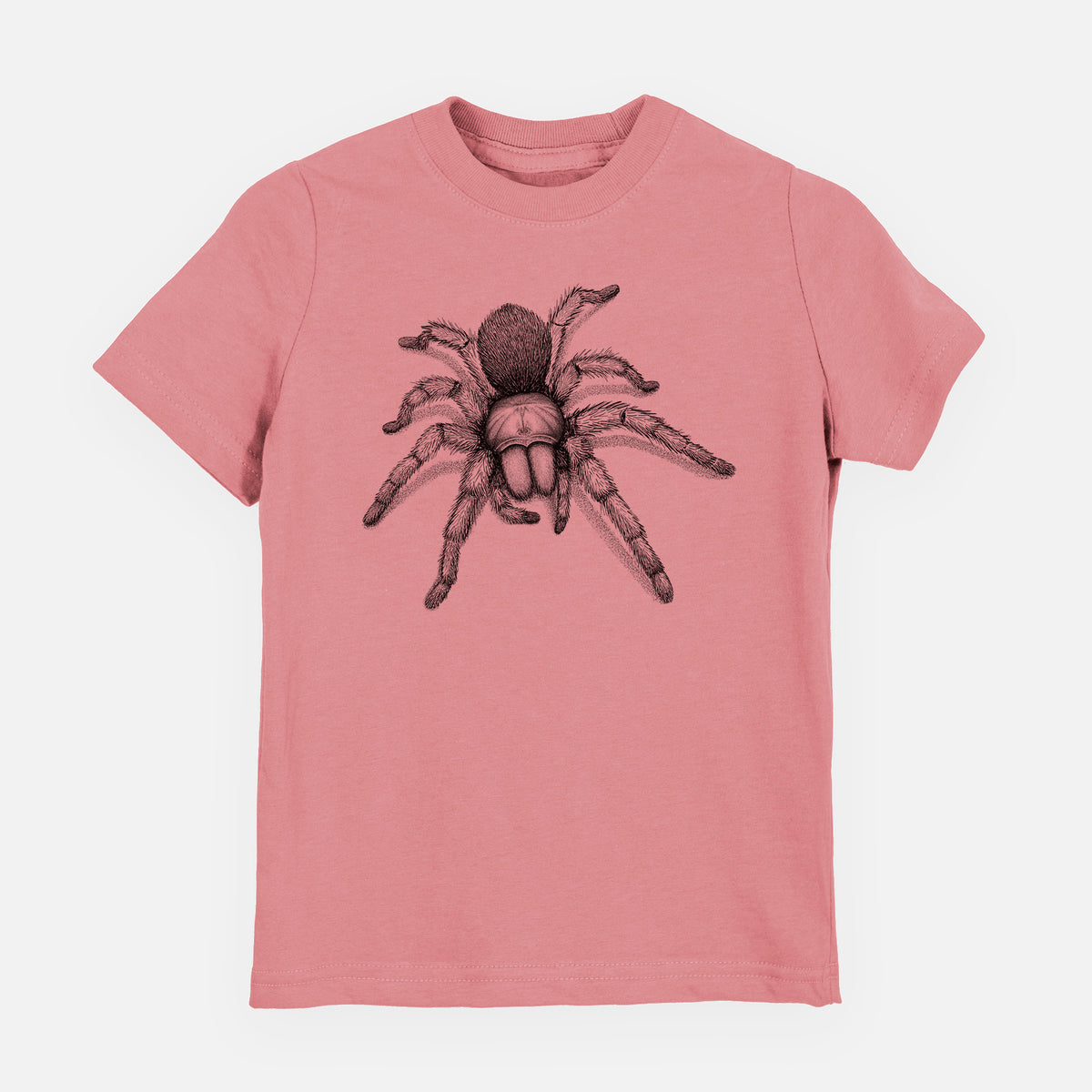 Desert Blonde Tarantula - Aphonopelma chalcodes - Youth Shirt