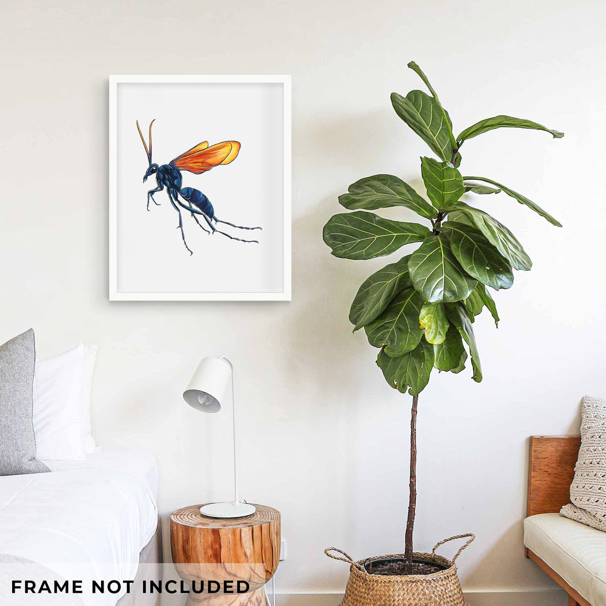 Tarantula Hawk Wasp - Pepsis grossa - Fine Art Print